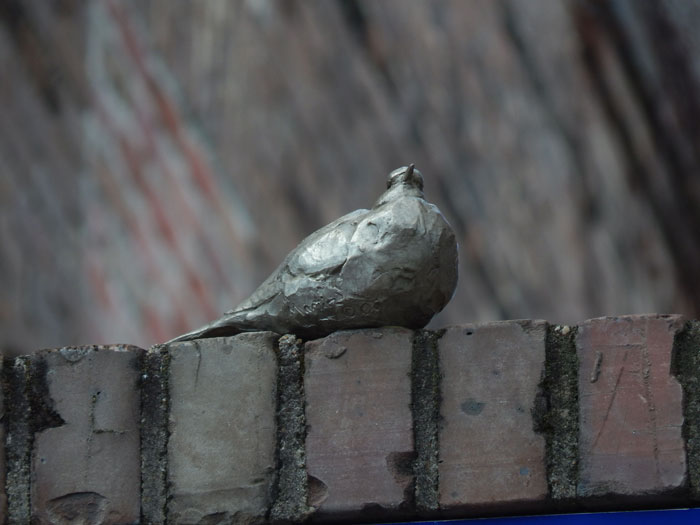 Mourning Dove by Roger Martin