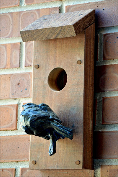 Eastern Bluebird sculpture by Paul Rhymer